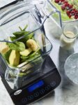 62a sound proof blender by santos at sawas website